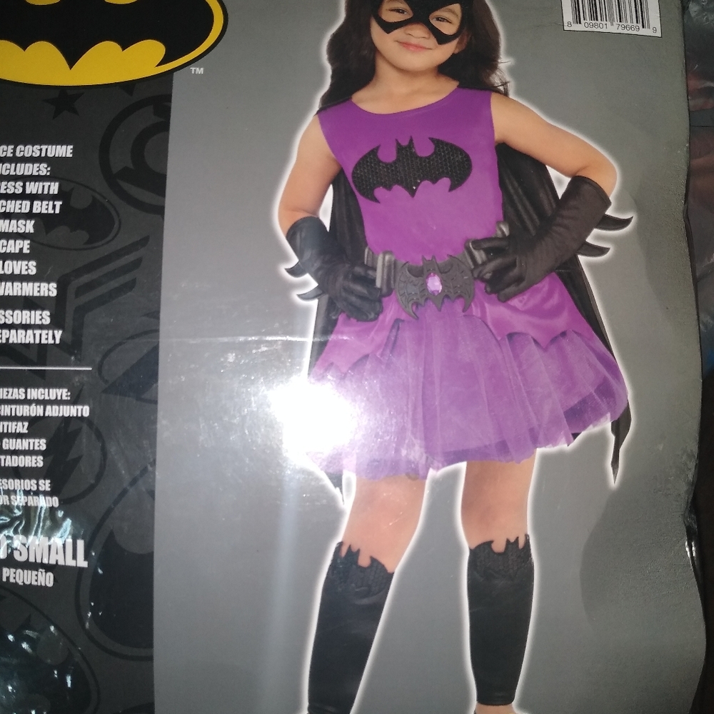 Batgirl Halloween costume